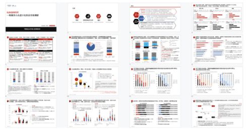 世界500強遠程招募 用經濟貿易咨詢項目填補你的簡歷空白